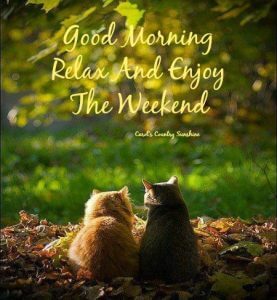 Happy Saturday Quotes With Messages Greetings Pictures Latest