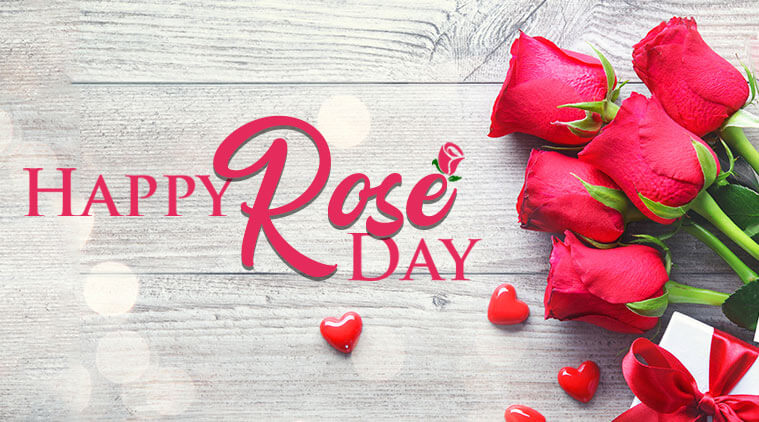 Happy Rose Day 2022: Wishes, Images, Quotes, Messages and WhatsApp  Greetings to Share With Your Boyfriend and Girlfriend - News18