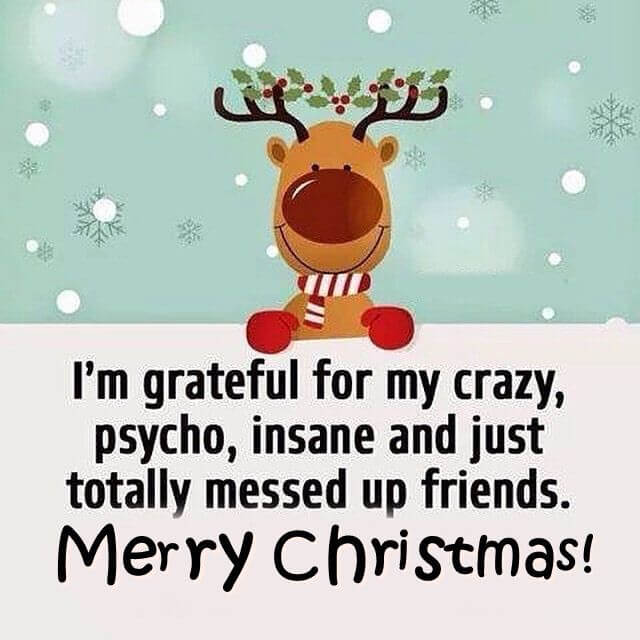Funny Christmas Quotes For Friends 2023 [Latest] - Wishes Quotz